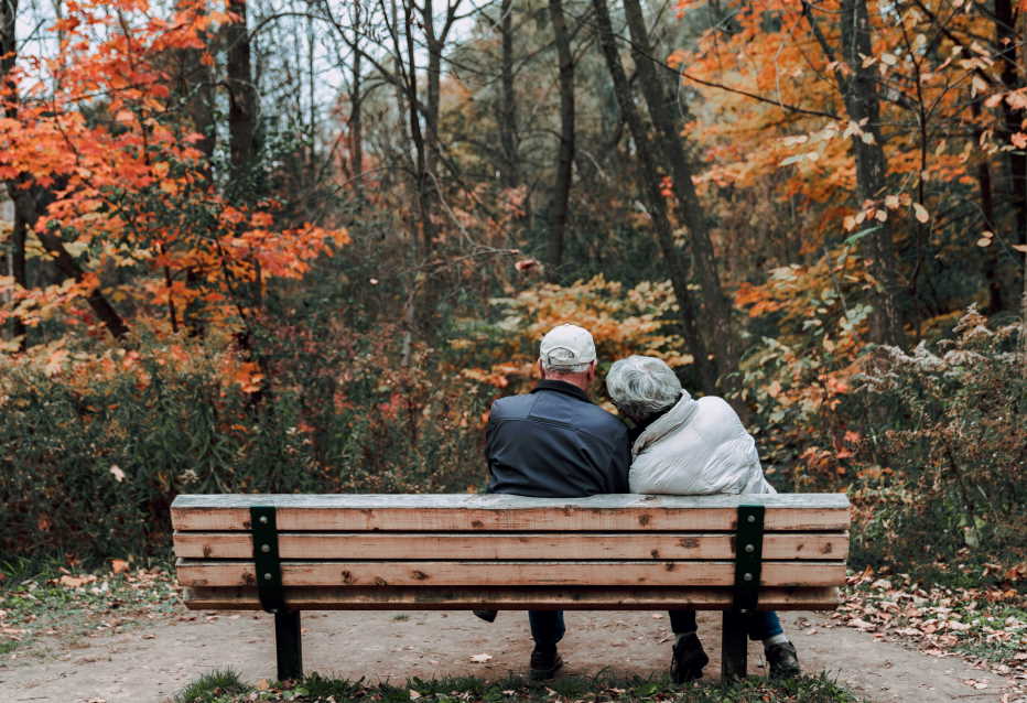 Olive Branch Family Therapy Services